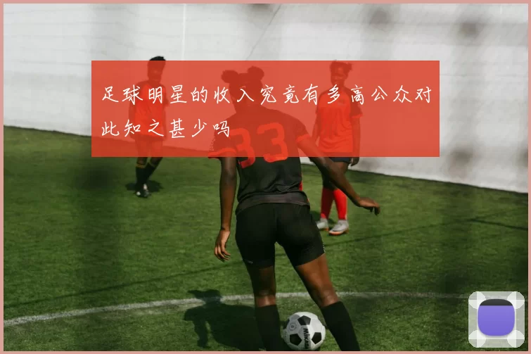 足球明星的收入究竟有多高公众对此知之甚少吗