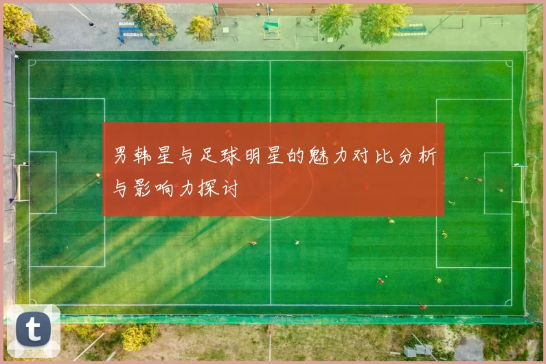 男韩星与足球明星的魅力对比分析与影响力探讨