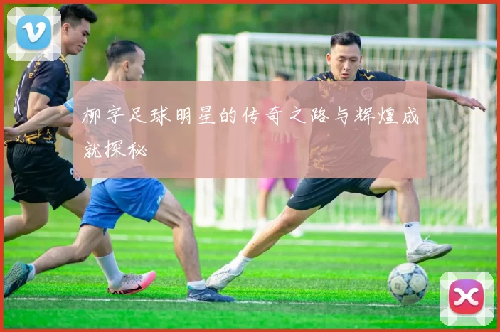 柳字足球明星的传奇之路与辉煌成就探秘