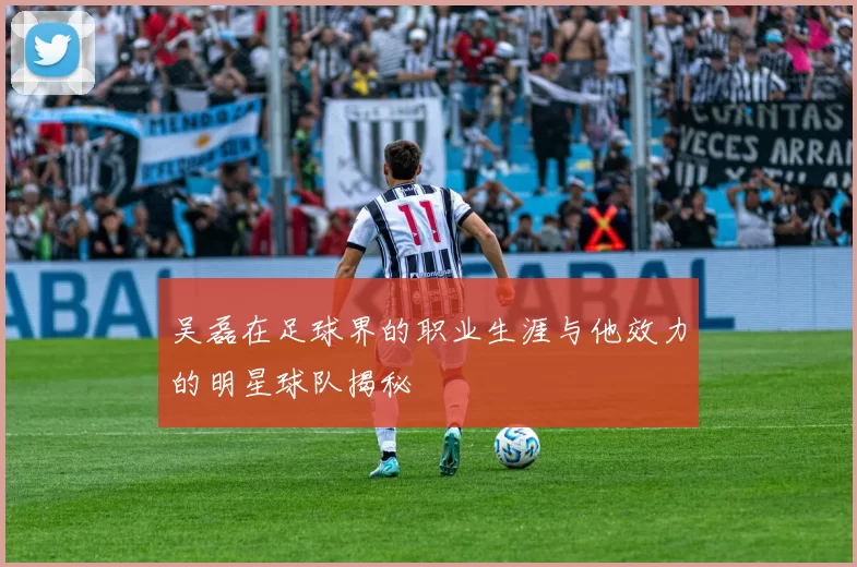 吴磊在足球界的职业生涯与他效力的明星球队揭秘