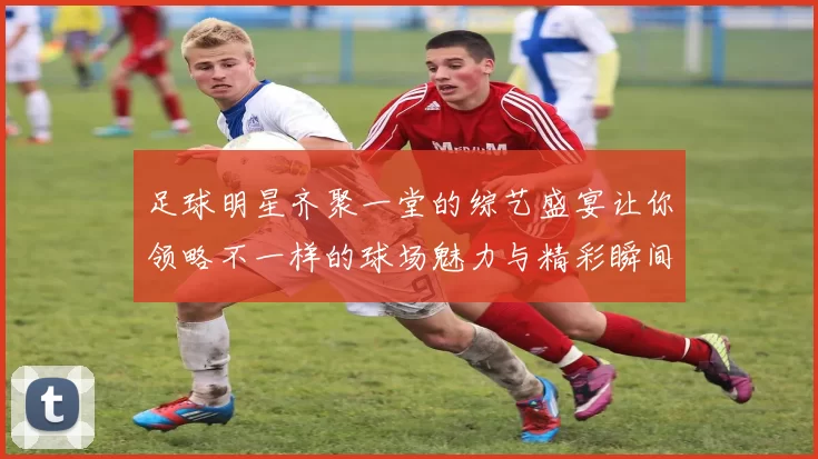 足球明星齐聚一堂的综艺盛宴让你领略不一样的球场魅力与精彩瞬间