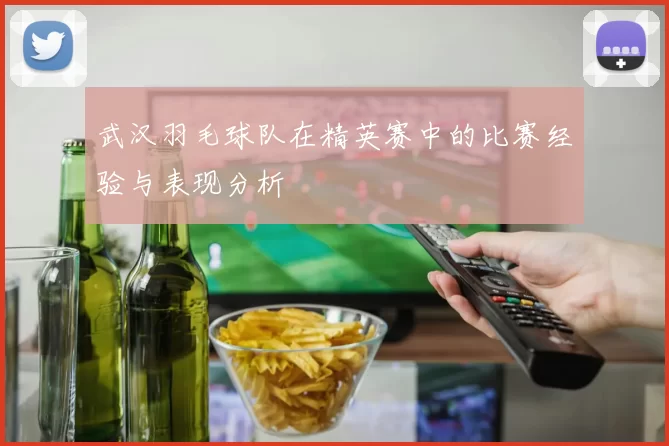 武汉羽毛球队在精英赛中的比赛经验与表现分析