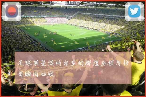 足球明星诺纳尔多的辉煌历程与传奇瞬间回顾