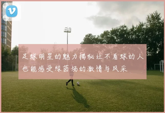 足球明星的魅力揭秘让不看球的人也能感受绿茵场的激情与风采