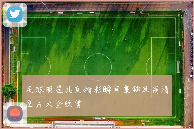 足球明星扎瓦精彩瞬间集锦及高清图片大全欣赏